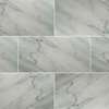 Msi Carrara White SAMPLE Honed Marble Floor And Wall Tile ZOR-NS-0059-SAM